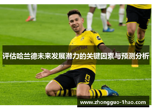 评估哈兰德未来发展潜力的关键因素与预测分析