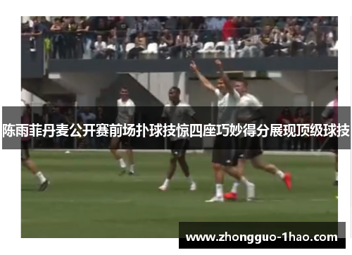 陈雨菲丹麦公开赛前场扑球技惊四座巧妙得分展现顶级球技